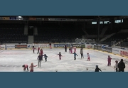 8. LEKCE KURZU BRUSLENÍ SE KONÁ 22.3.2015