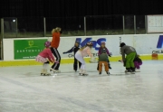 KARNEVAL NA LEDĚ KURZU BRUSLENÍ SE KONÁ 29.3.2015
