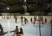 8. LEKCE KURZU BRUSLENÍ SE KONÁ 2.12.2018 V KARNEVALOVÉM STYLU